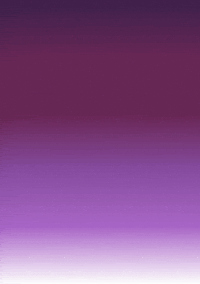 Ikebana_Basel flower flowers calm meditation GIF