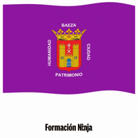 Flag Spain GIF by Formación Ninja
