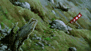 hayao miyazaki GIF by Maudit