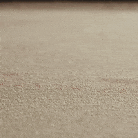 Harry Potter Setup GIF by Secretlab