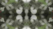 Art Love GIF by jorgemariozuleta