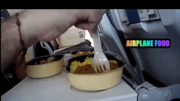 inflightfeed inflight economy class airlinefood airplanefood GIF