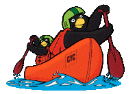 Camping The Island Sticker by CYC Christian Youth Camps