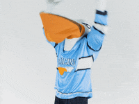 PelicansFi hockey mascot ice hockey pelicans GIF