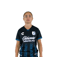 Gallos Celebrate Sticker by Club Querétaro