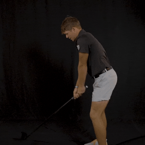 Fort Wayne Golf GIF by Purdue Fort Wayne Athletics