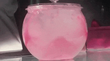 kansas city pink GIF by Polyvinyl Records