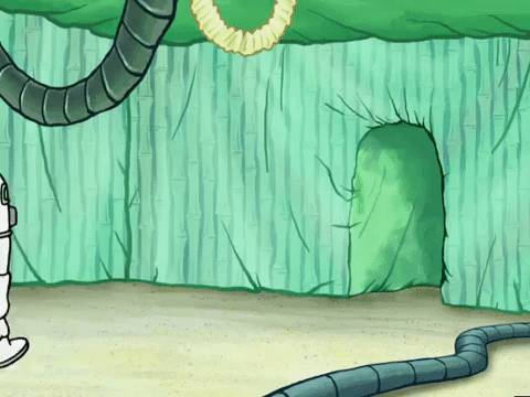 season 5 episode 3 GIF by SpongeBob SquarePants