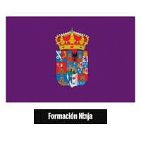 Flag Spain Sticker by Formación Ninja