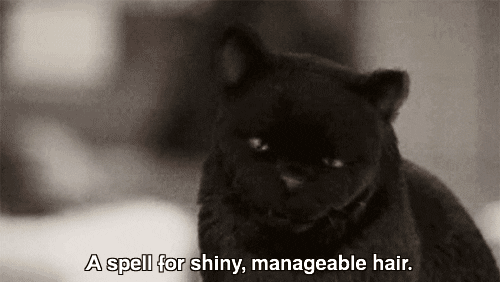 sabrina the teenage witch GIF
