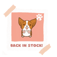 Shopthepaw back corgi in stock Sticker