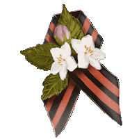 Лента Sticker