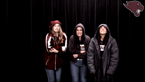 Softball GIF by CUCougars
