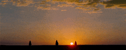 lawrence of arabia is this toomany gifs in one photoset...idgaf GIF by Maudit