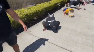Tampa Bay Gym Employees Protest Closures With Push-Ups and Squats Outside Courthouse