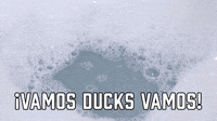¡Vamos Ducks Vamos!