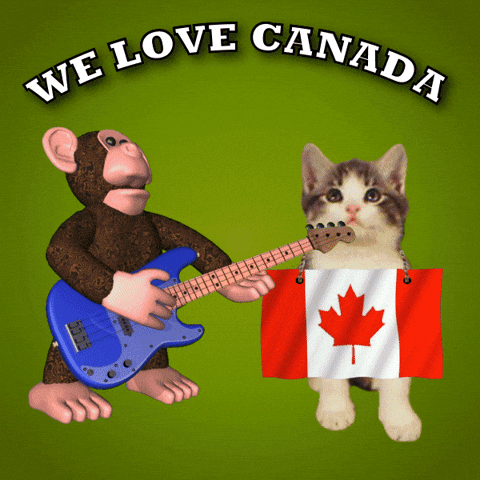 Canada Flag GIF