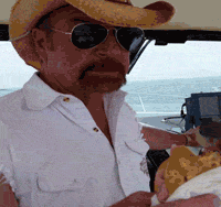 bird lol GIF by America's Funniest Home Videos