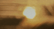season 5 episode 3 GIF by Ex On The Beach