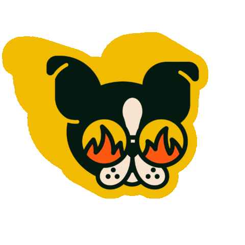 alainakay giphygifmaker boston terrier too cool flavortown Sticker