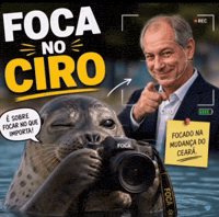 Ciro Gomes GIF by Michel