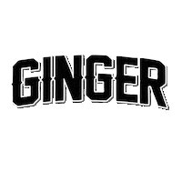 ginger Sticker by grupodmctec
