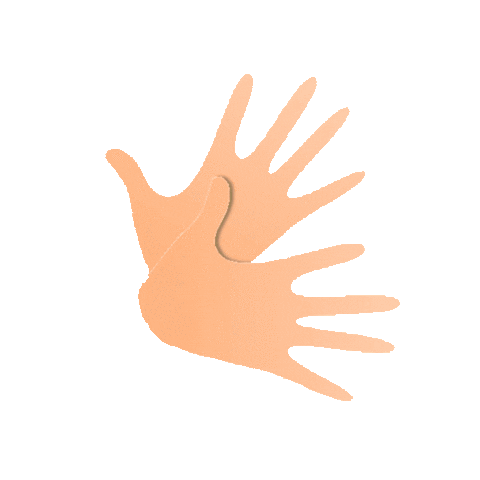 Inclusion Senas Sticker by otec inclusión