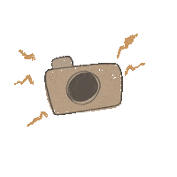 BexleyDesigns photography camera photographer taking pictures Sticker