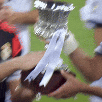 Real Madrid Edite GIF