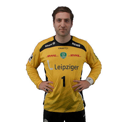 Handball Leipzig Sticker by DAIKIN HBL