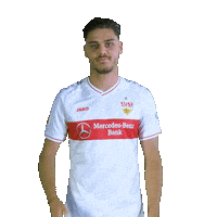 Mercedes Benz Facepalm Sticker by VfB Stuttgart