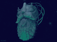 dlgnce animation illustration space stars GIF
