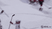happy ice hockey GIF by NHL