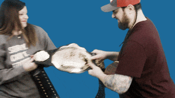 Nfl Draft Fantasy League GIF by StickerGiant