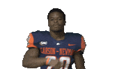 Football Omg Sticker by Carson-Newman Athletics