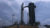 Space America GIF by Greer Tidbits