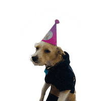 Sinergik lilo cumpleaños sinergik sinergik lilo Sticker