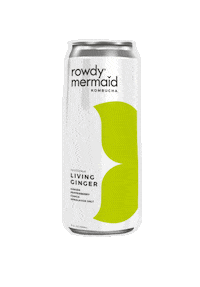 rowdymermaid kombucha booch rmk komboocha Sticker