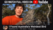 Youtube Australia GIF