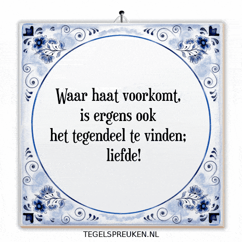 Respect Nl GIF by Tegelspreuken.nl