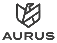 Aurus Sticker by Fakini