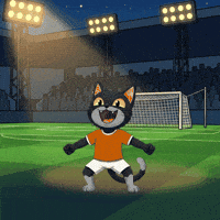 Excited Lets Go GIF by CATBAT
