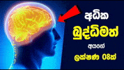 Sri Lanka Intelligence GIF