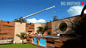 Big Brother GIF by Big Brother Australia