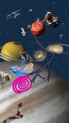 talipozer giphyupload GIF