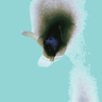 GIF by Ryan Seslow