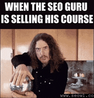 seowl_app seo seowl GIF