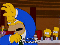 homer simpson GIF