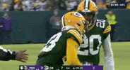Green Bay Packers Football GIF by NFL