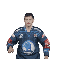 Dance Hockey Sticker by HC Škoda Plzeň